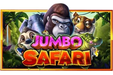Dragon Tiger live game nex8 apk ရှင်းလင်းချက်
